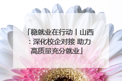 稳就业在行动丨山西：深化校企对接 助力高质量充分就业